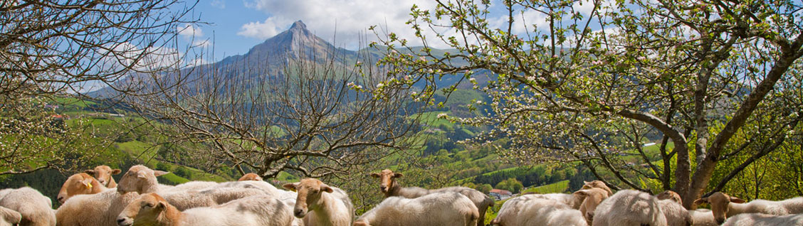 turismo bekoerrota